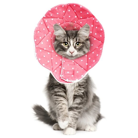 SunGrow Polka Dot Pet Soft Adjustable Recovery Cone | NWT | M | Pink White - Picture 2 of 16